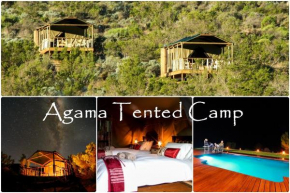 Гостиница Agama Tented Camp  Garies